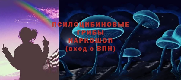 mdpv Инсар