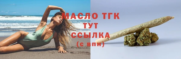 mdpv Инсар