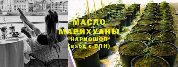 mdpv Инсар