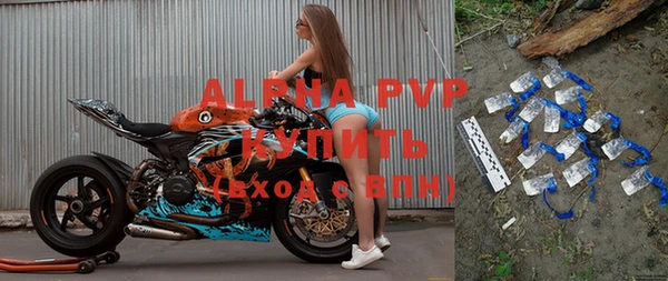 эйфоретик Инта