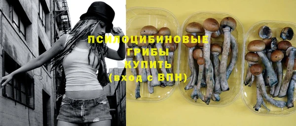 mdpv Инсар