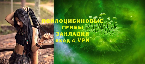 mdpv Инсар