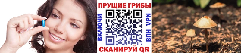 Галлюциногенные грибы мухоморы  Купить закладки  Щигры 